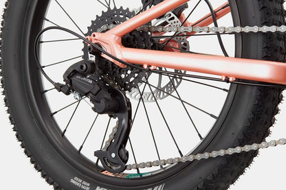 Cannondale Trail Plus 20