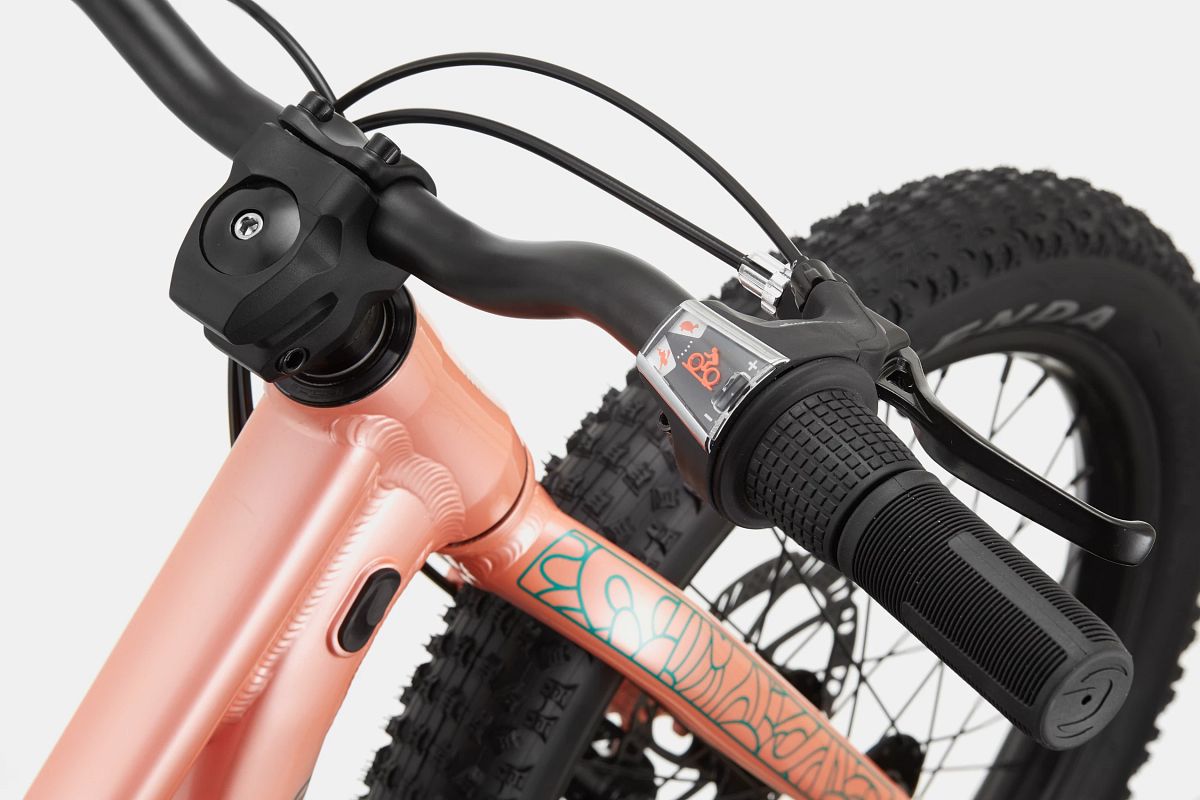 Cannondale Trail Plus 20