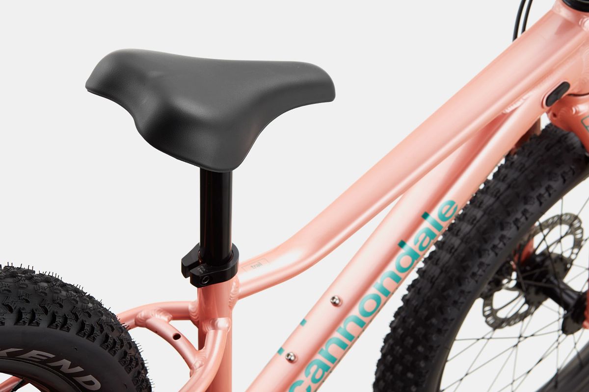 Cannondale Trail Plus 20