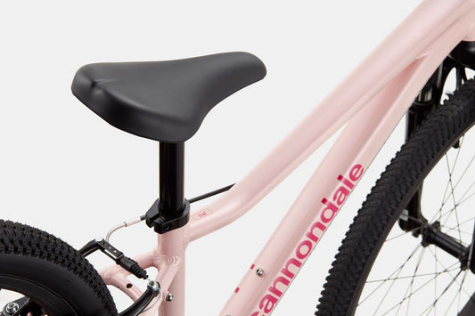 Cannondale Trail 24