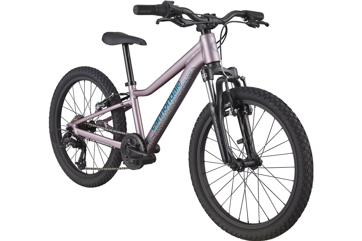Cannondale Trail 20