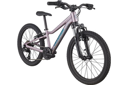 Cannondale Trail 20
