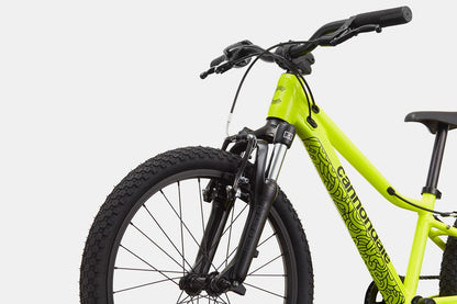 Cannondale Trail 20