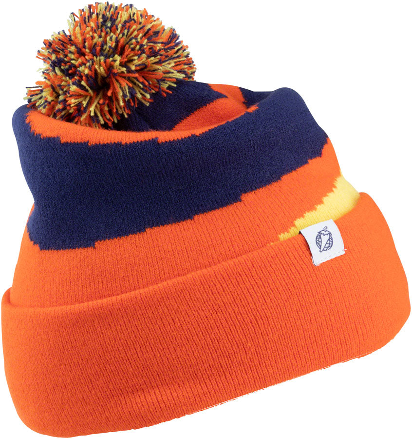 Salsa Logo Beanie