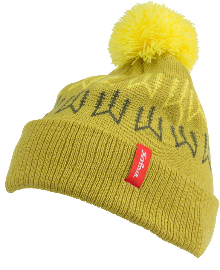 Salsa Logo Beanie