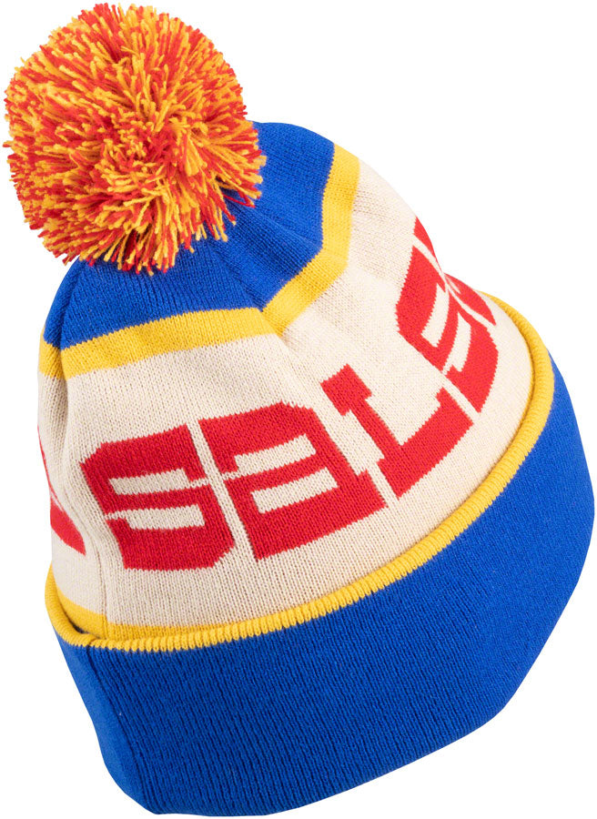 Salsa Logo Beanie