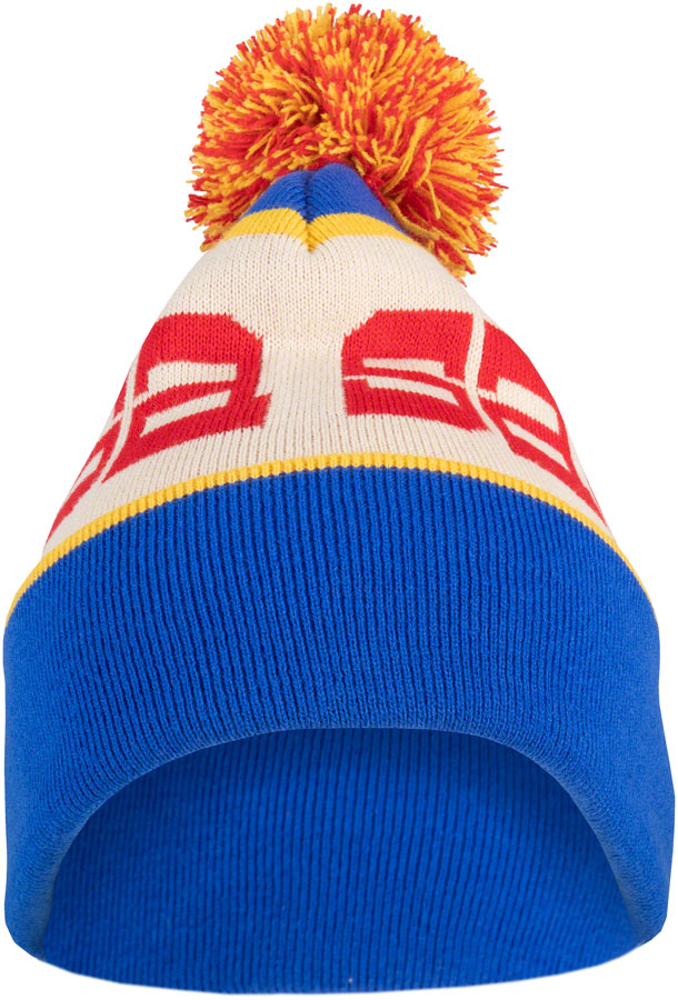 Salsa Logo Beanie