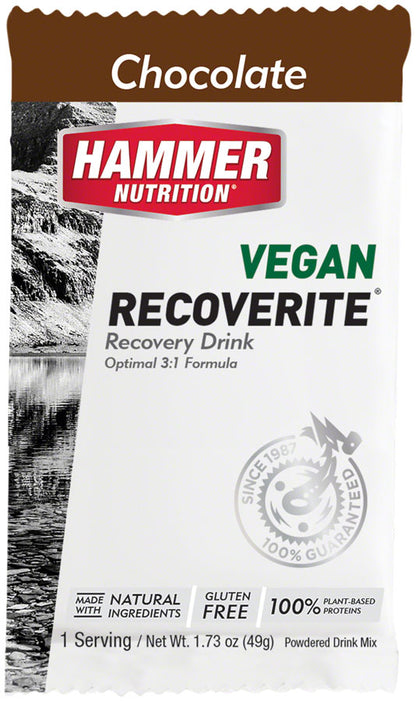 Hammer Nutrition Vegan Recoverite