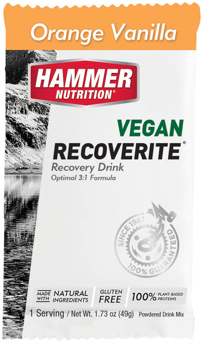 Hammer Nutrition Vegan Recoverite