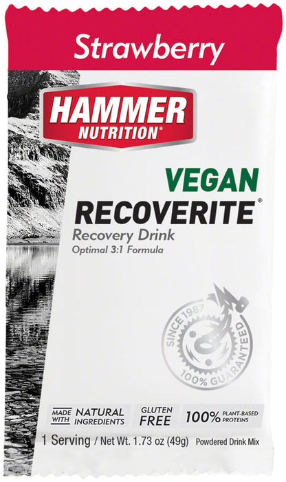 Hammer Nutrition Vegan Recoverite