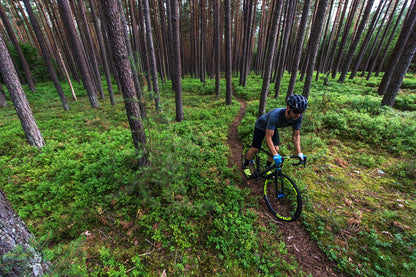 Enve Cross Fork 1 1/2 Taper Disc Thru Axle 12mm