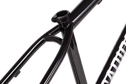 Radio Asura Tapered 26" Dirt Jump Frame