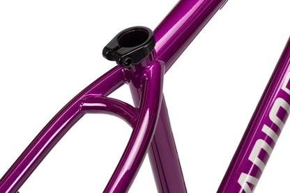 Radio Asura Tapered 26" Dirt Jump Frame