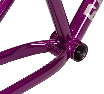 Radio Asura Tapered 26" Dirt Jump Frame