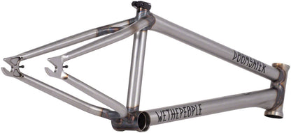 We The People Doomsayer