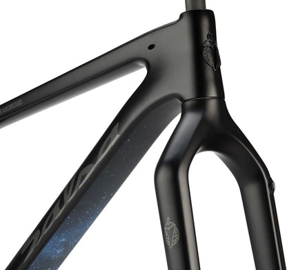 Salsa Beargrease Carbon Black