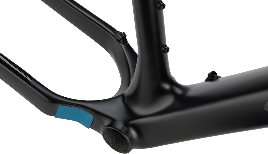 Salsa Beargrease Carbon Black