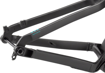 Salsa Spearfish Carbon Frame - Black