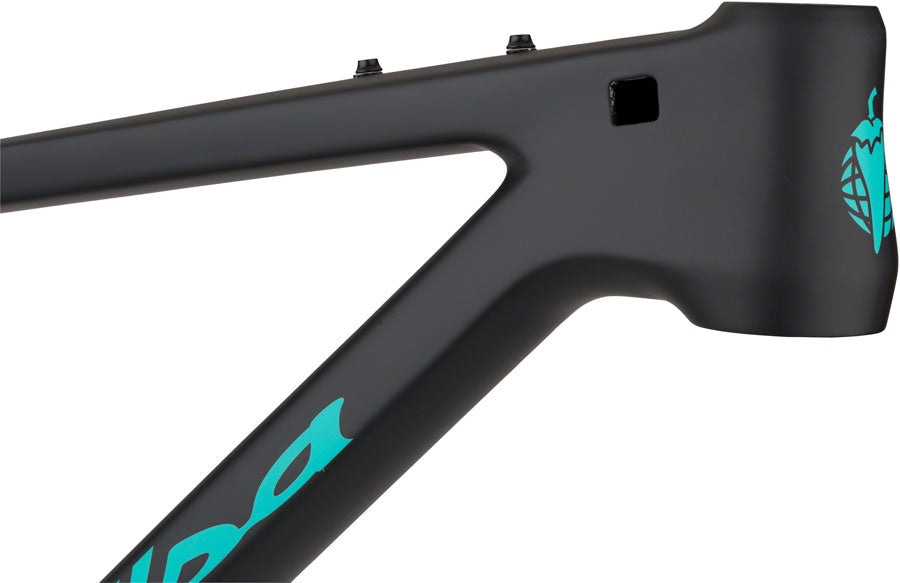 Salsa Woodsmoke Frame Black/Teal