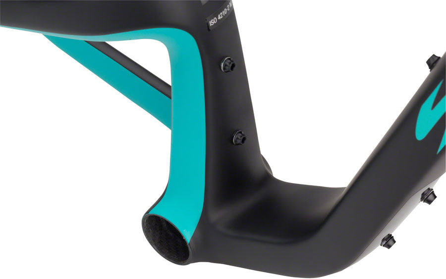 Salsa Woodsmoke Frame Black/Teal