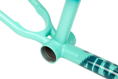 BSD ALVX AF BMX Frame