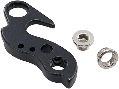 Ritchey Derailleur Hanger