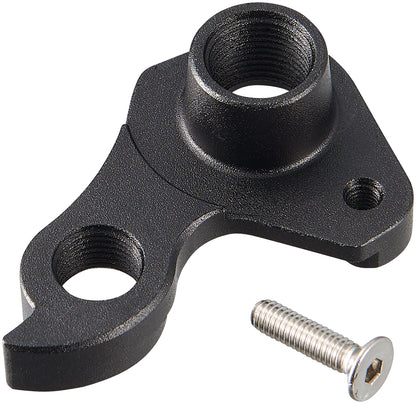 Ritchey Derailleur Hanger