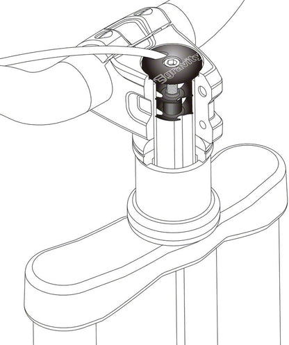 Full Speed Ahead Whip Caps