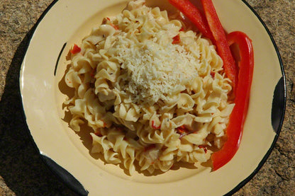 Backpacker's Pantry Fettuccini Alfredo with Chicken