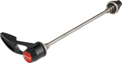 DT Swiss RWS Titanium Rear