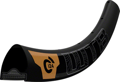 WTB Carbon TCS