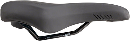 MSW Spin Saddle