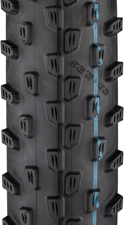 Schwalbe Racing Ray Tire