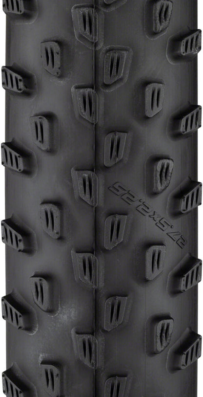 Schwalbe Racing Ray Tire