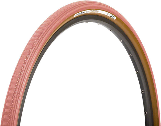 Panaracer Gravelking Ss Tire
