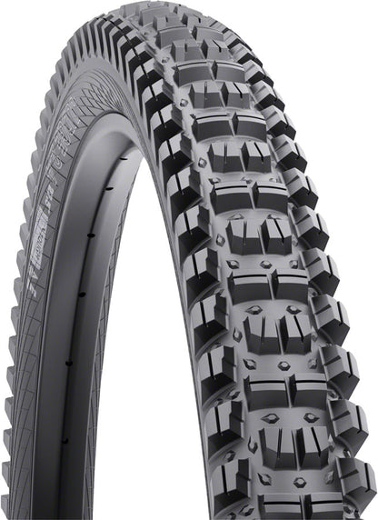 WTB Judge Tire