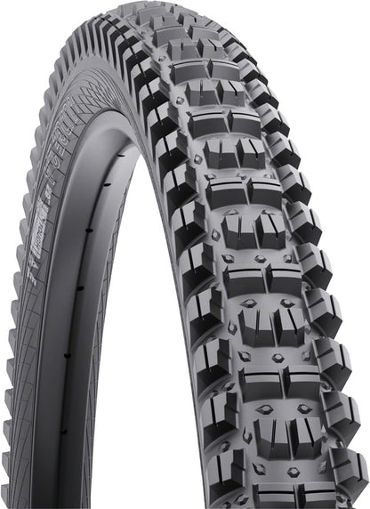 WTB Judge Tire