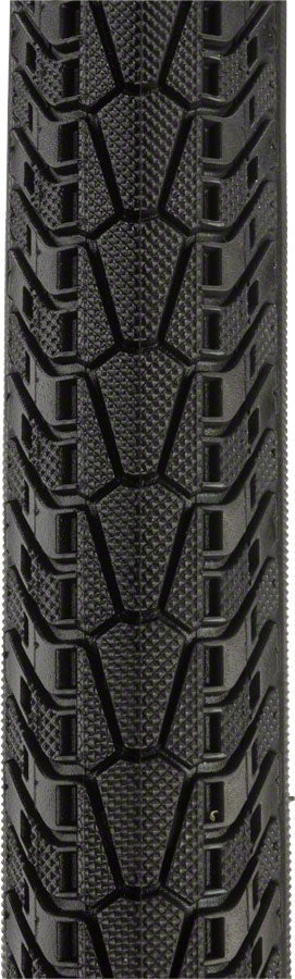 Panaracer T-Serv Protite Tire