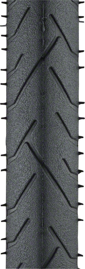 Panaracer RiBMo ProTite Tire