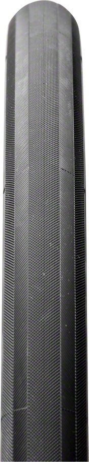 Panaracer Pari-Moto Tire