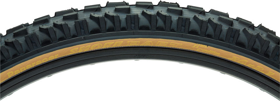 Panaracer Dart Tire