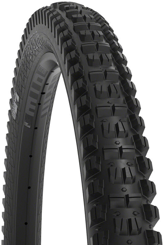 WTB Judge Tire