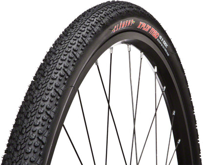 Clement X'Plor Tire