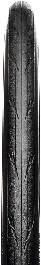 Hutchinson Fusion 5 Performance Tire