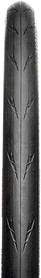 Hutchinson Fusion 5 Performance Tire