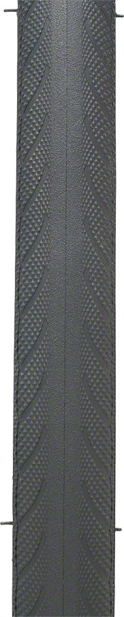 Vittoria Rubino Pro III