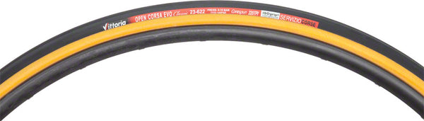 TR3627_grande.jpg?v=1673471732