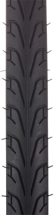 新品2本Vittoria Randonneur 700x35C fgfs Vittoria Randonneur 700c - Greenway Bikehouse | Lansing