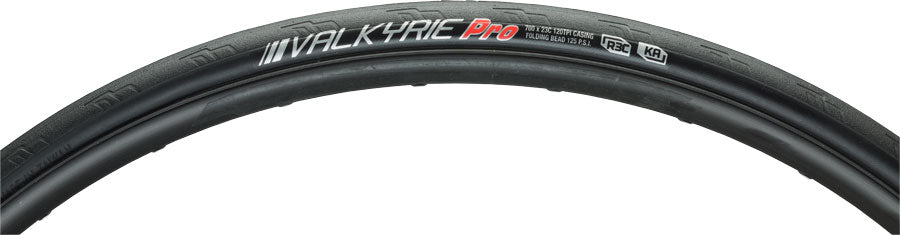 Kenda Valkyrie Tire