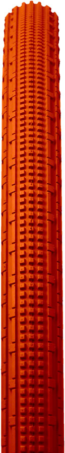 Panaracer GravelKing SK Tire